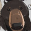 Big Silly Bear