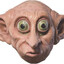 Geodude