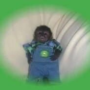 chillmaxxing vibecel