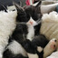 tux