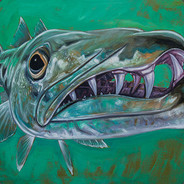 BigBarracudaDad