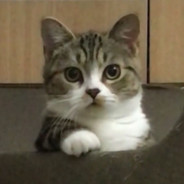 ℡人生若只如初见°