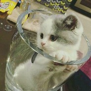 小皇今天挨揍了嘛