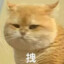 暖意