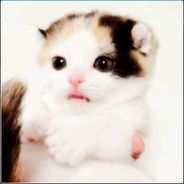 见朕骑妓的时刻。