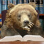 Bear doing a bit of reading
