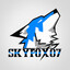 SkyFox07