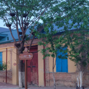 如果再来一次你还会吗