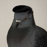Аватар OBALDEET