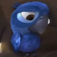Avatar of Blu Ma Cuk