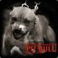Pit Bull 88