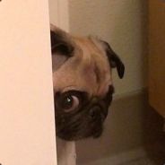 Nx - steam id 76561197962692963