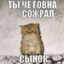 SosiskaPro
