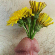 ТВОЯ МАМА-МАГОМЕД