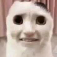 löpö