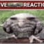 LIVE REACTION CS.PRO