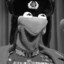 Komandarm Kermit