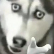 老衲法号求锤BBQ