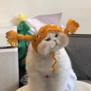 一只叫香芋的紫薯