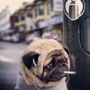 денис два зуба