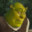 Mr. Shrek