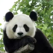 不吃脆洋芋（烤鸡版）