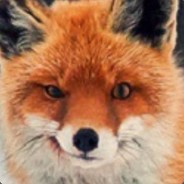 Silvian - steam id 76561198228413040