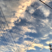 是云云不是晕晕