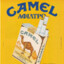 camel