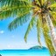 I&#039;m on VACation