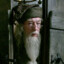 Albus Doubledoors