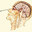 Глеб Лоботомия