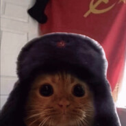 Comrade Bedoi