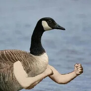 Придворный гусь