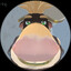 muggyGlobe