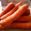 Morkov'
