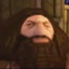 PS2 Hagrid