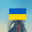 (Slava Ukraini!)Hush_ysh