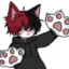 Neko Boy