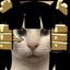 wild anubis