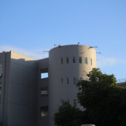 霸道总裁爱上我