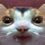 Bryan_Likes_Yogurt