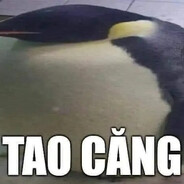 Sang Đã Căng - steam id 76561199568020677