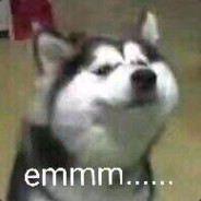 没人爱的包子君