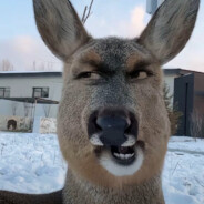 查查小学里的水分