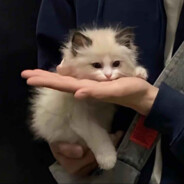 迎接你们的小文