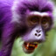 Purple Monkey