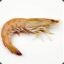 King Prawn