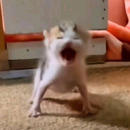 Mauu
