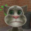 Talking Tom